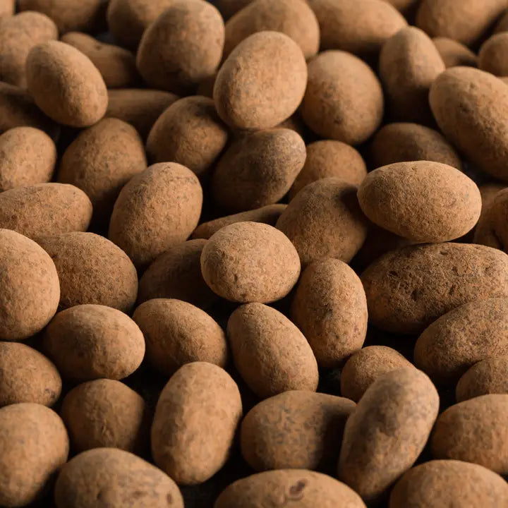 Organic Vegan Chocolate Almonds