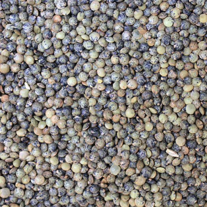 Organic French Style Lentils